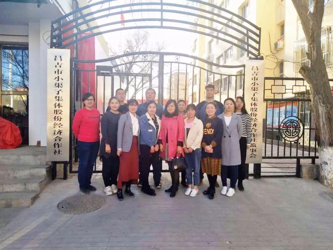 昌吉市住房和城乡建设局最新项目进展报告概览