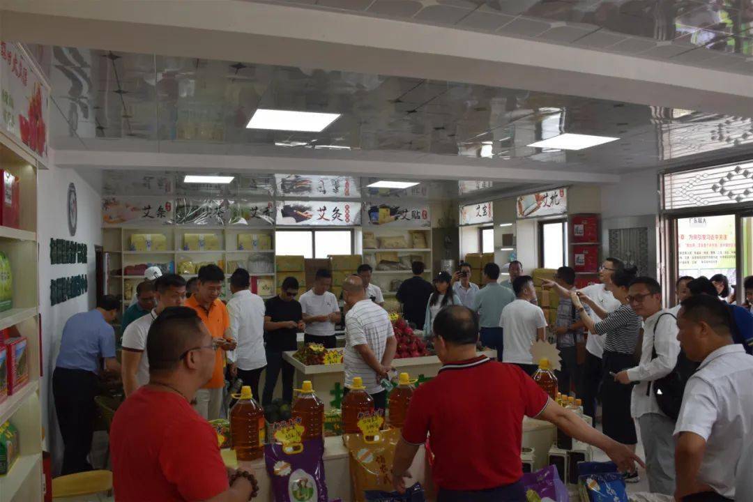 冷水江市殡葬事业单位发展规划展望，最新规划与展望