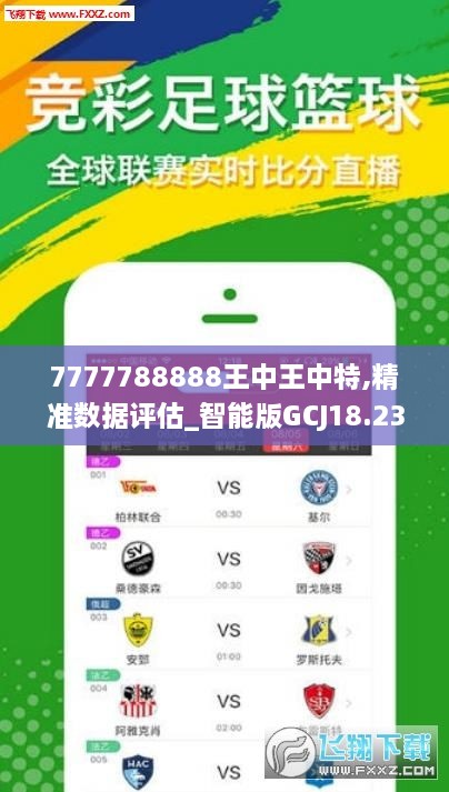 77777788888王中王中特亮点,详细解答解释定义_MP84.80.71