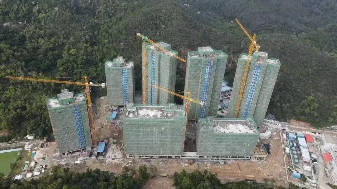 香洲区人民政府办公室最新领导团队概况