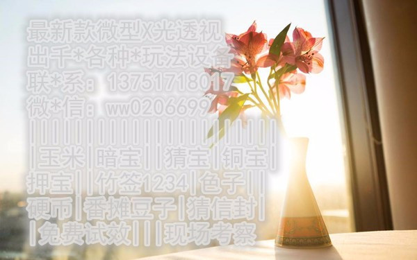 科技与赌博的灰色地带揭秘，最新赌具透视仪探秘