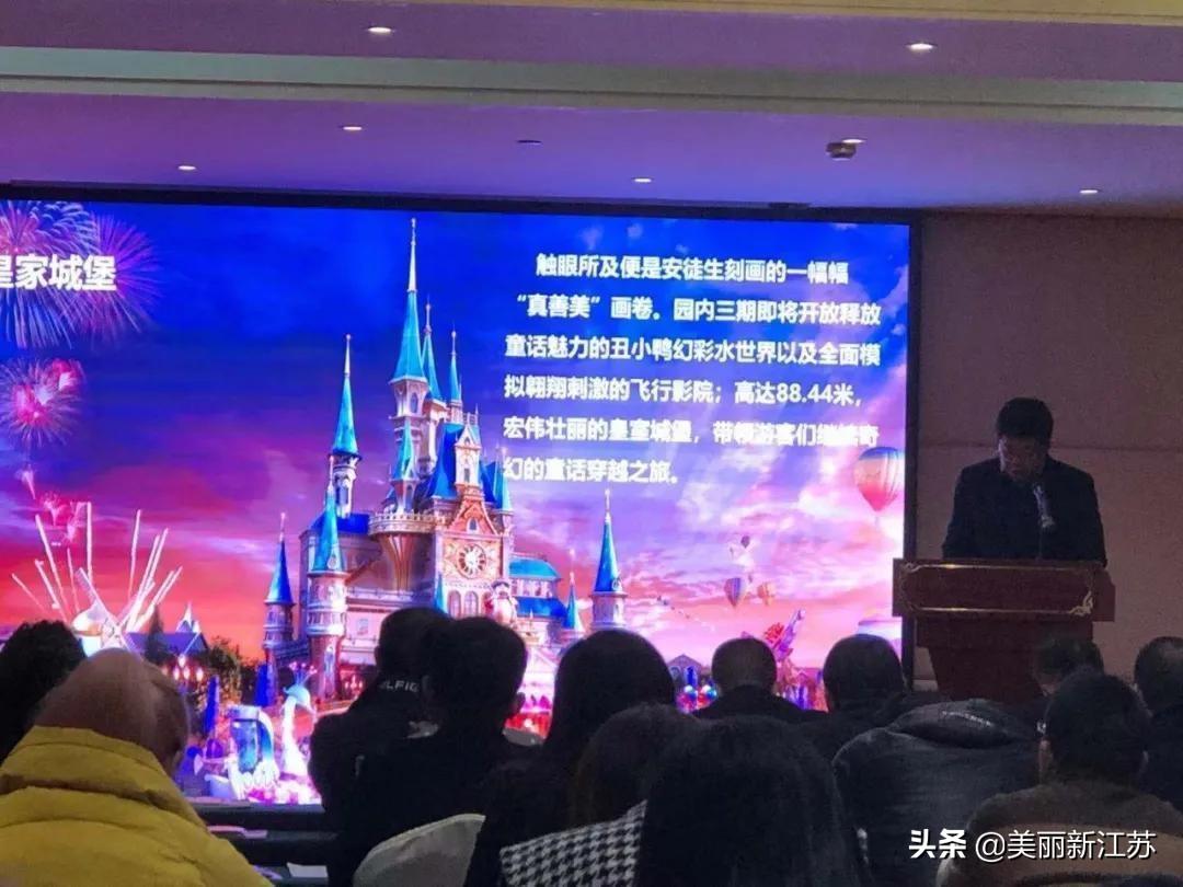 射阳县人民政府办公室最新发展规划揭秘，未来蓝图与发展策略