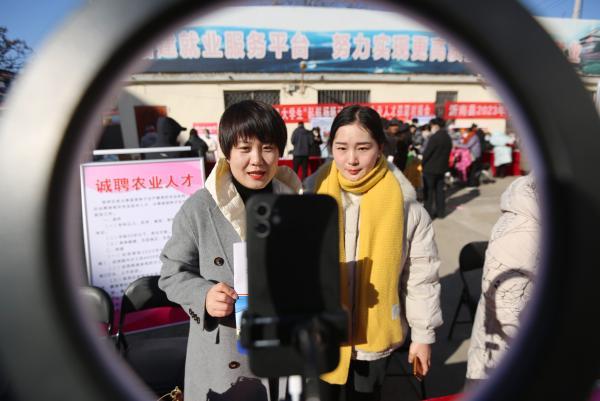 成以柳 第2页