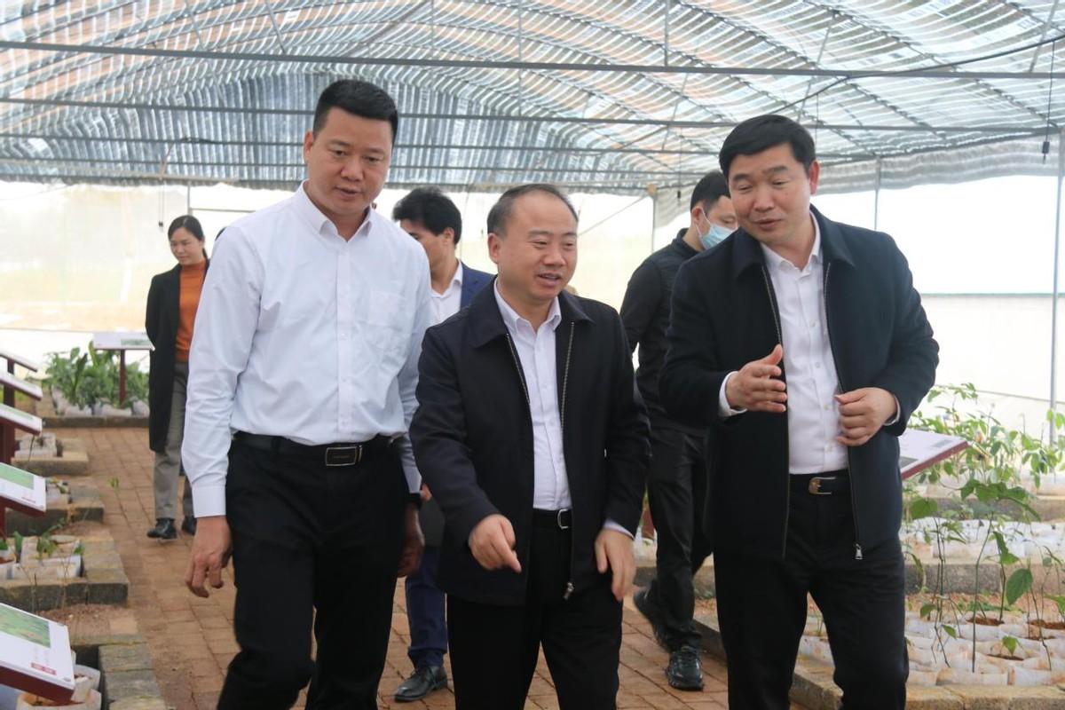 金秀瑶族自治县发展和改革局最新动态报道