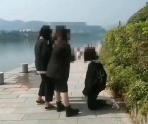 女生暴力视频背后的社会现象反思与警示