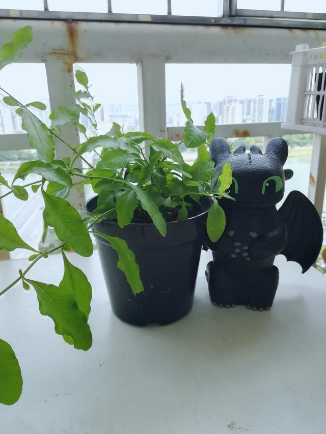 安利最新产品引领健康生活科技革新