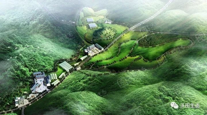 色沃村最新项目，乡村振兴的新动力源泉