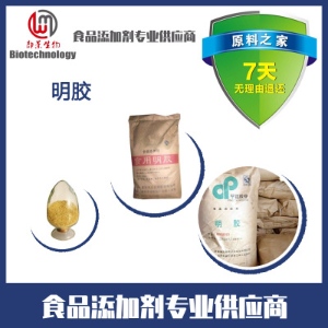 明胶价格最新报价与市场动态分析概览