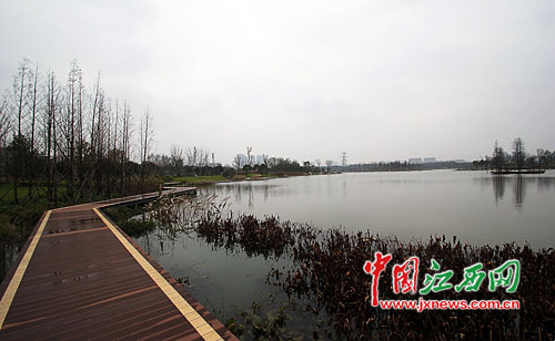 象湖最新动态，生态发展与城市建设的和谐共振