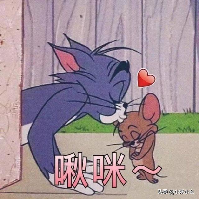 遥望行止最新，探索未知边界与未来可能性