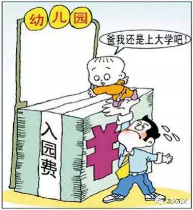 民办教育促进法最新实施及其影响深度解析