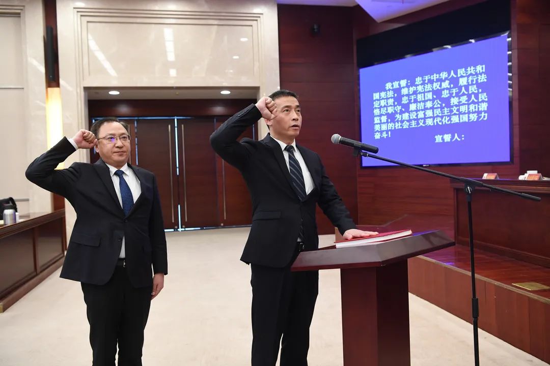 新北区数据和政务服务局人事任命公布，推动数字化转型与政务服务持续优化进展