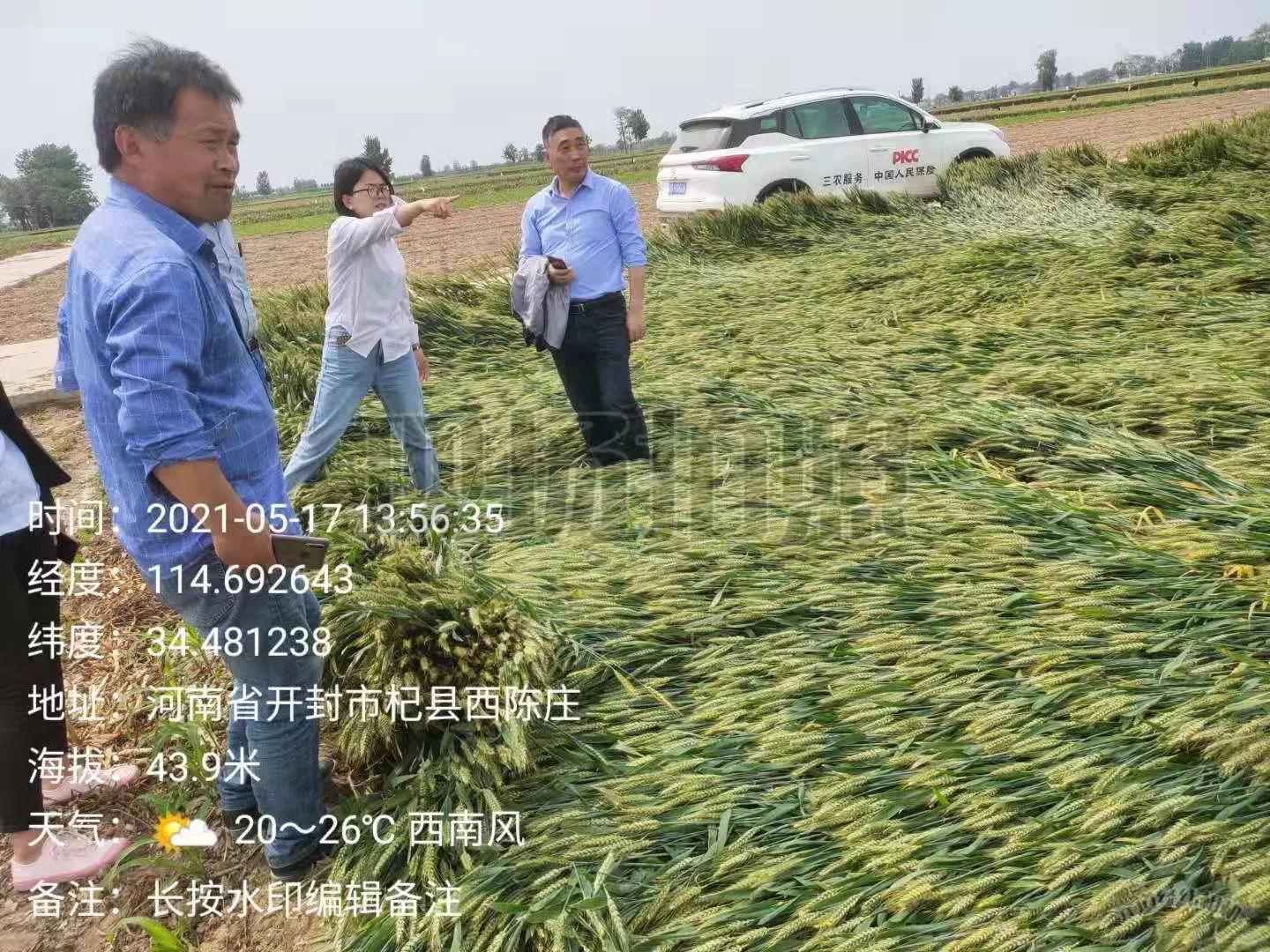 杞县应急管理局最新发展规划揭秘，全面优化应急管理体系，提升应对突发事件能力