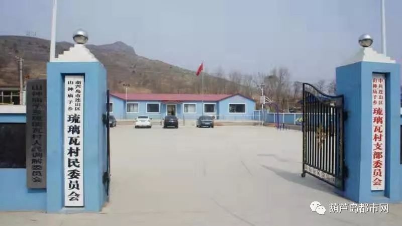 老鸦岔村委会最新项目，乡村振兴的新动力源泉