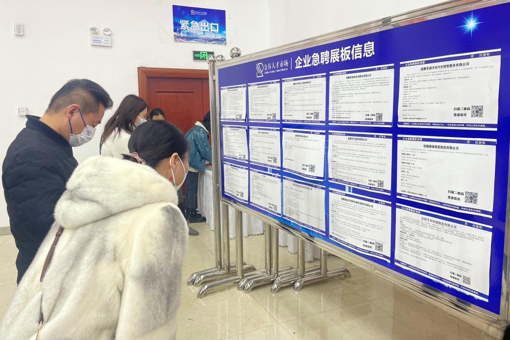 武江区人力资源和社会保障局最新项目概览，探索未来发展趋势与成就