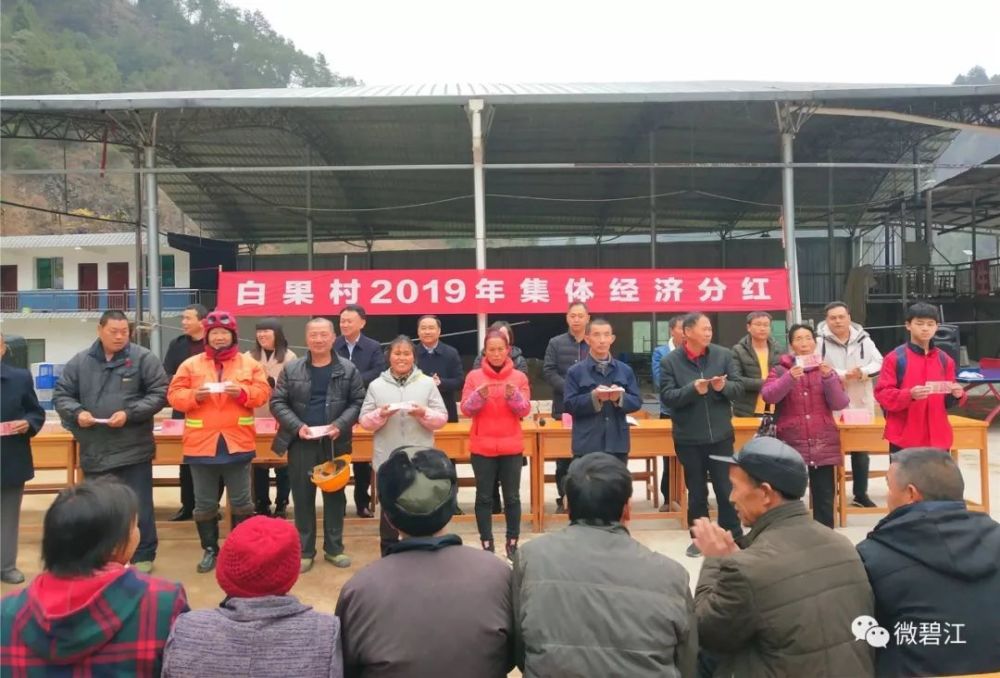 白果村委会最新资讯报道
