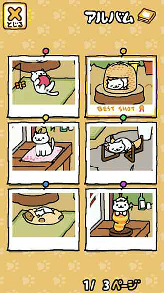 猫咪后院最新破解探索神秘乐园的新篇章揭秘！