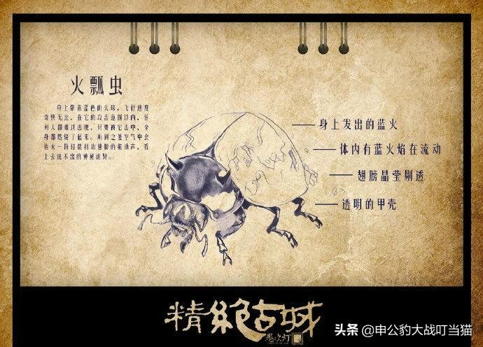 七星区殡葬事业单位创新项目，服务与创新绿色发展双轮驱动的新探索