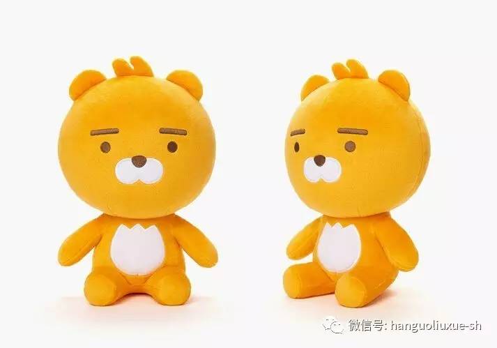 Kakao最新版，重塑通讯体验的科技巨头