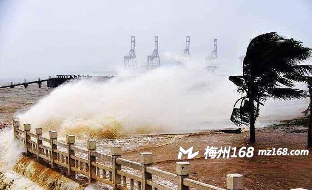 湛江最新台风彩虹，影响及应对措施
