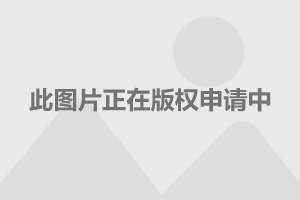 上海最新陪产假政策解读及其实施情况